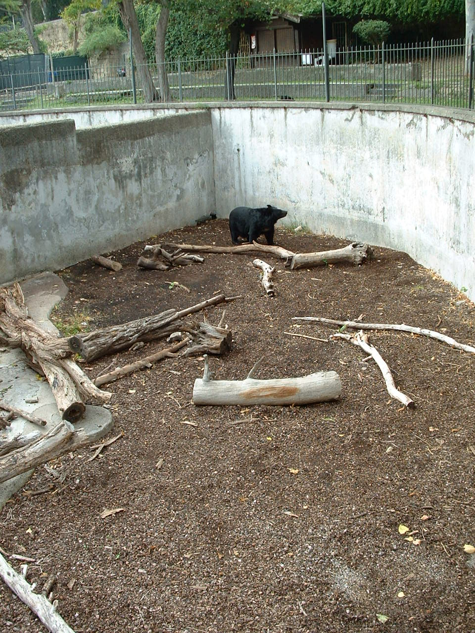 Napoli Zoo - Oct 2010