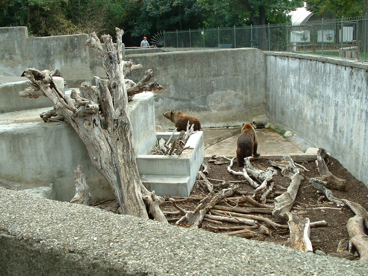 Napoli Zoo - Oct 2010