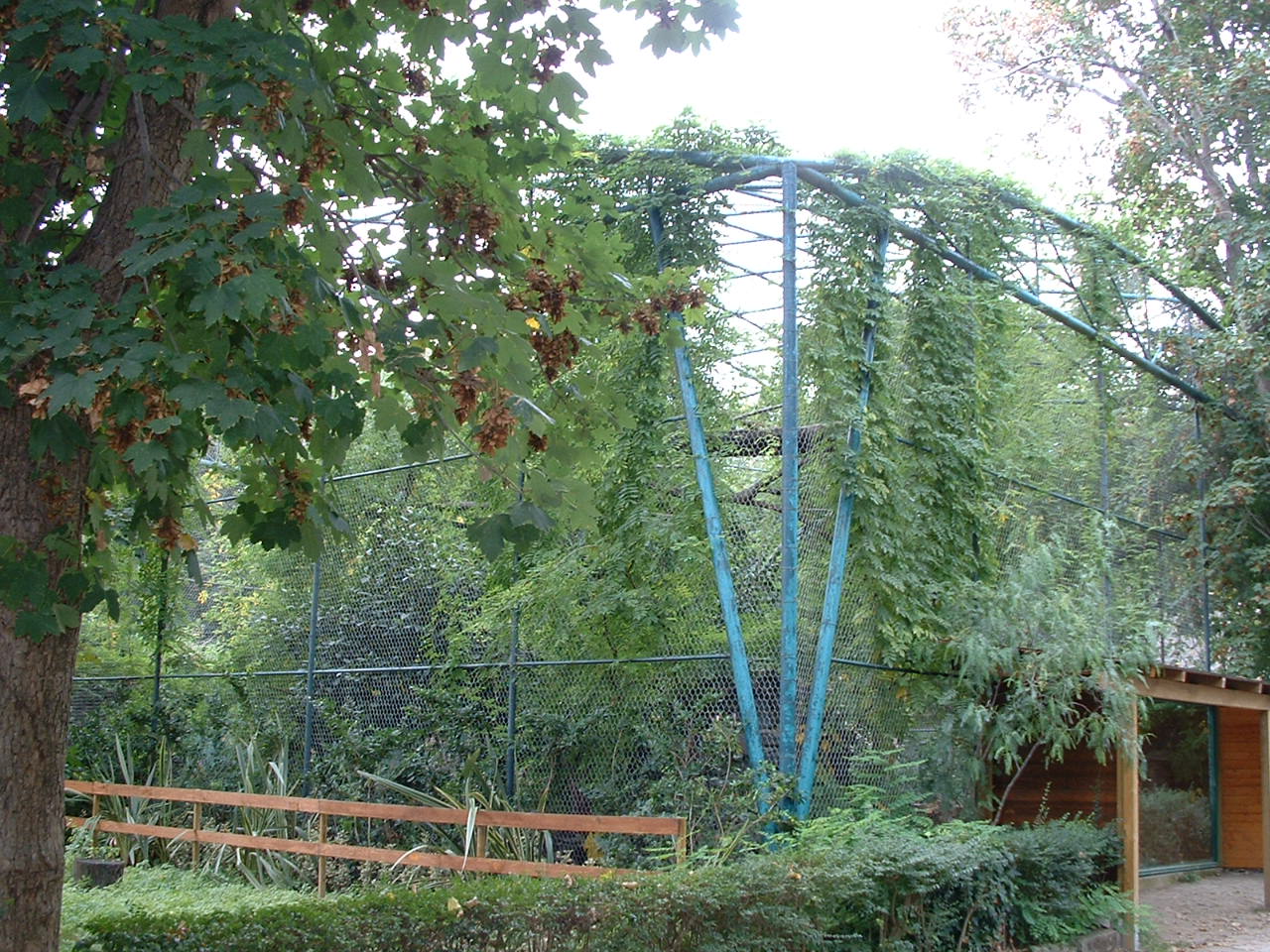 Napoli Zoo - Oct 2010