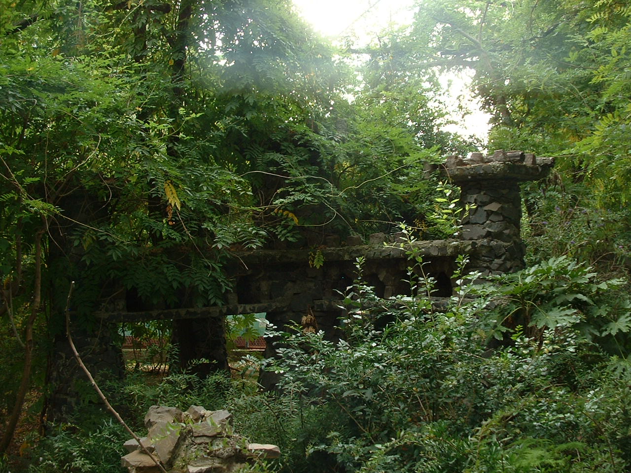 Napoli Zoo - Oct 2010