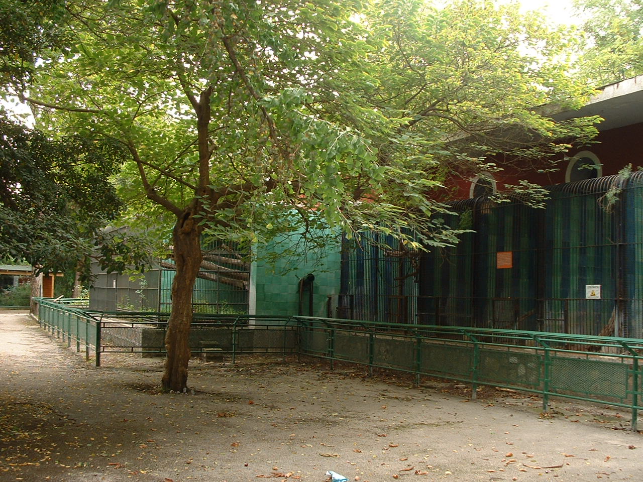 Napoli Zoo - Oct 2010