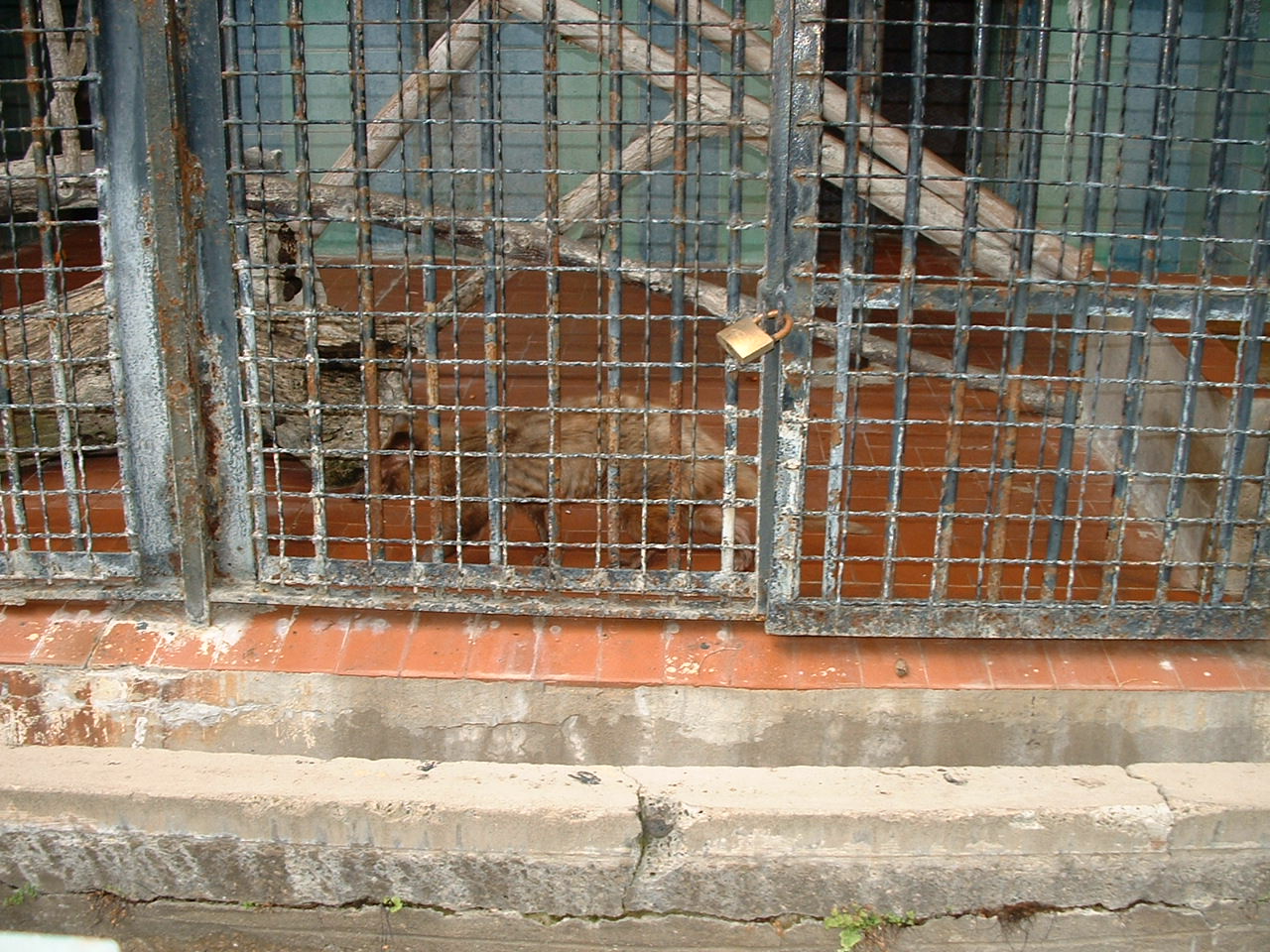 Napoli Zoo - Oct 2010