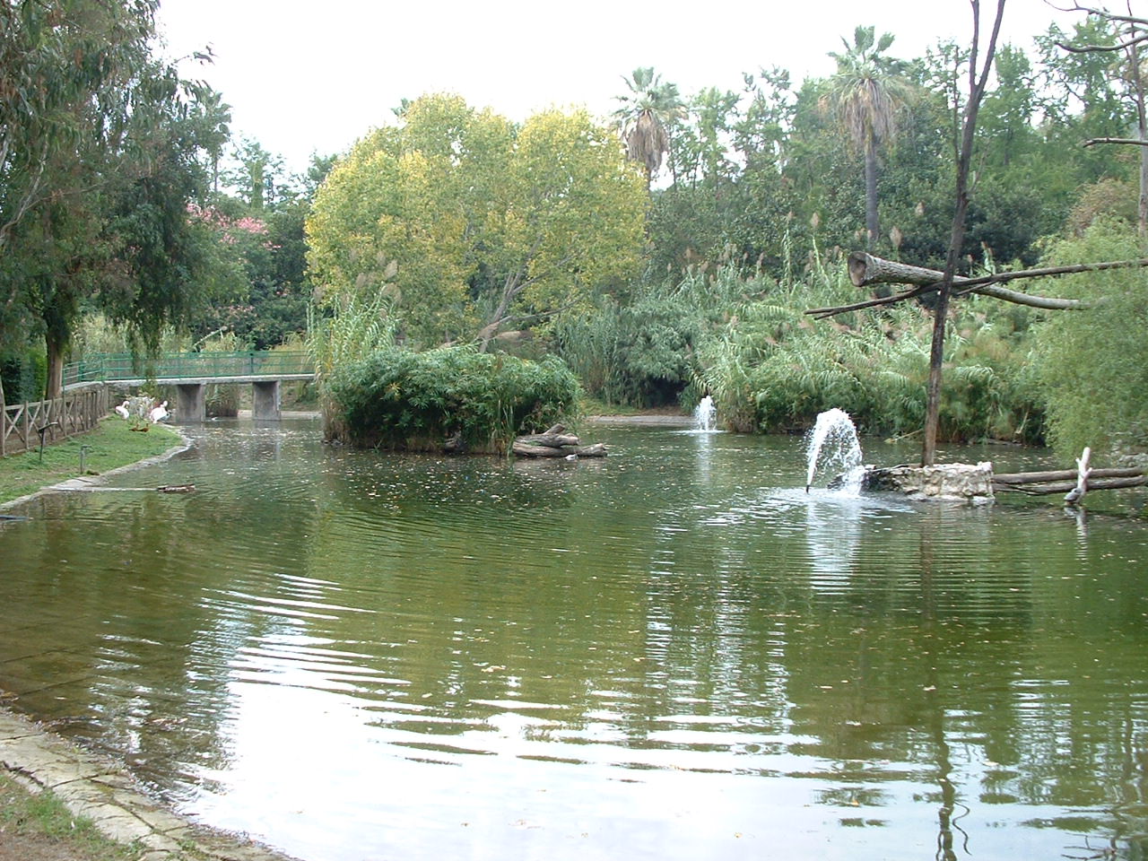 Napoli Zoo - Oct 2010
