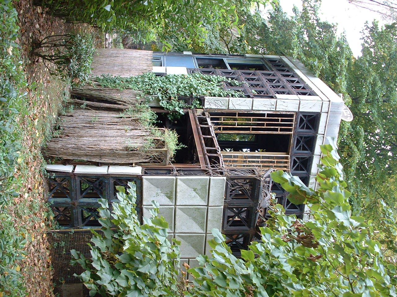 Napoli Zoo - Oct 2010