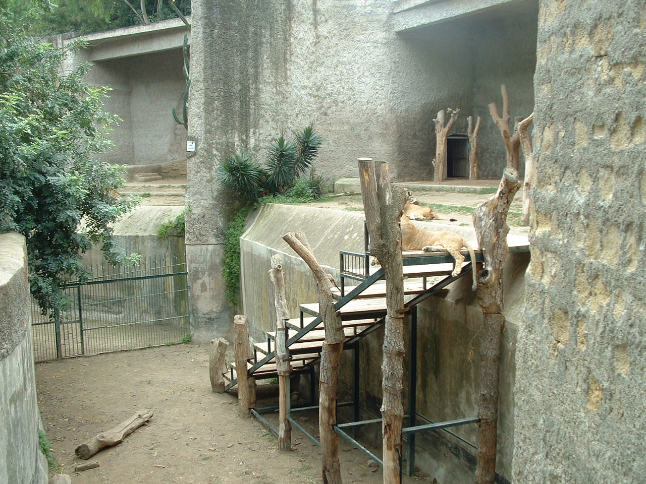 Napoli Zoo - Oct 2010