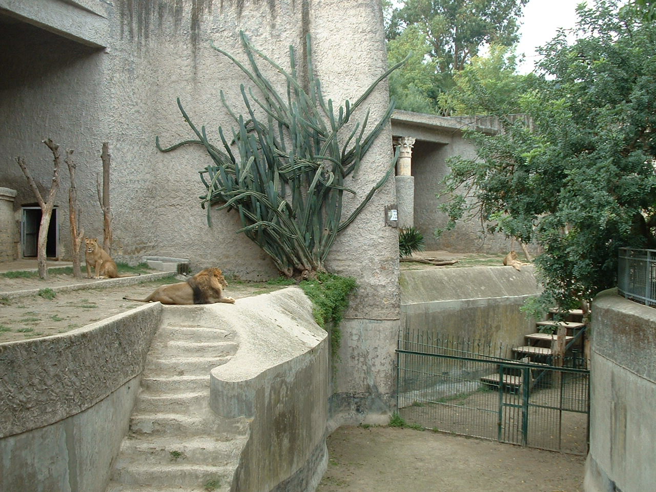 Napoli Zoo - Oct 2010