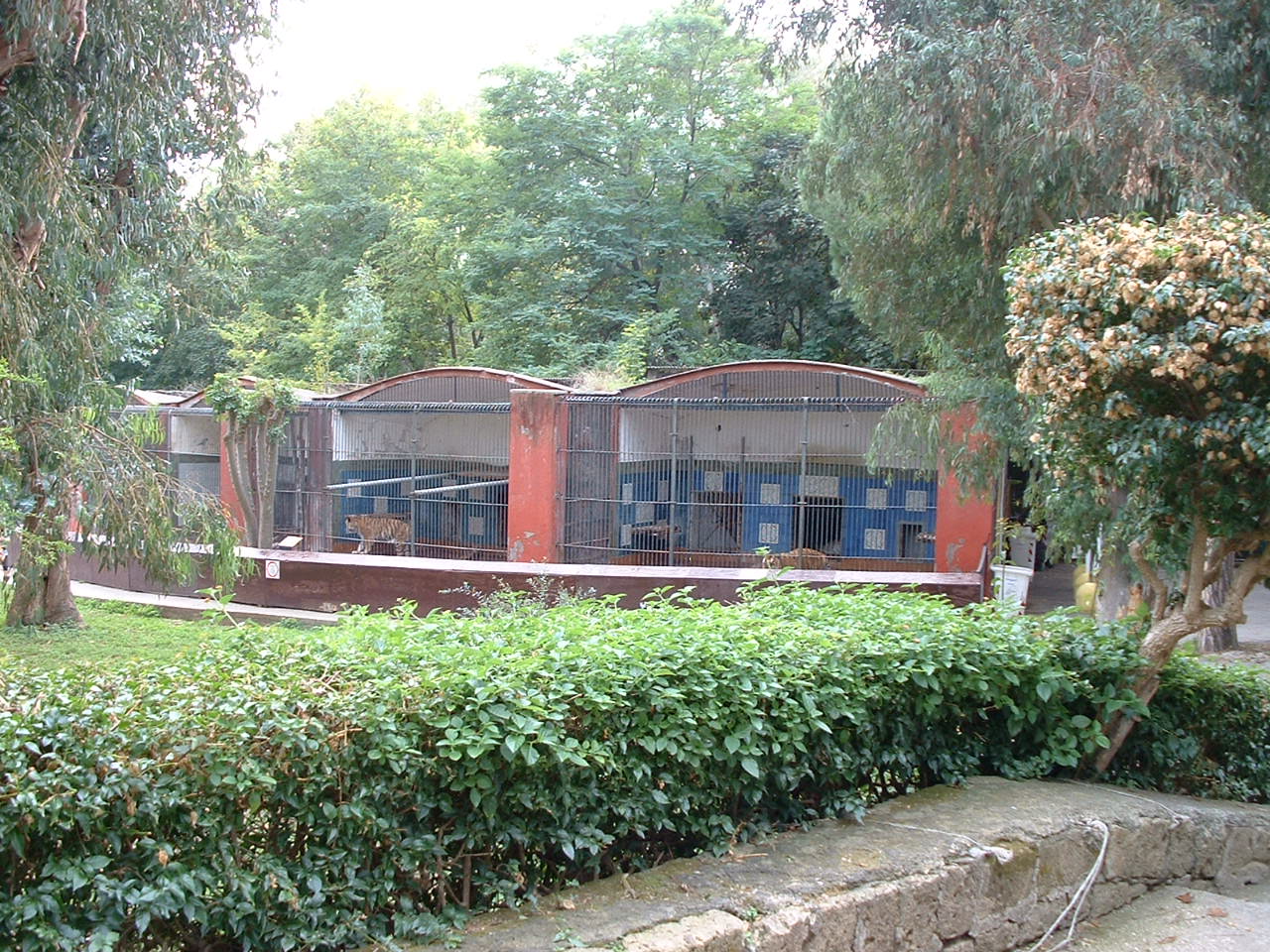 Napoli Zoo - Oct 2010