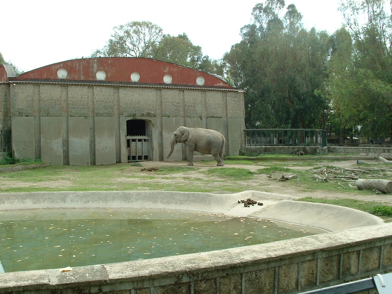 Napoli Zoo - Oct 2010