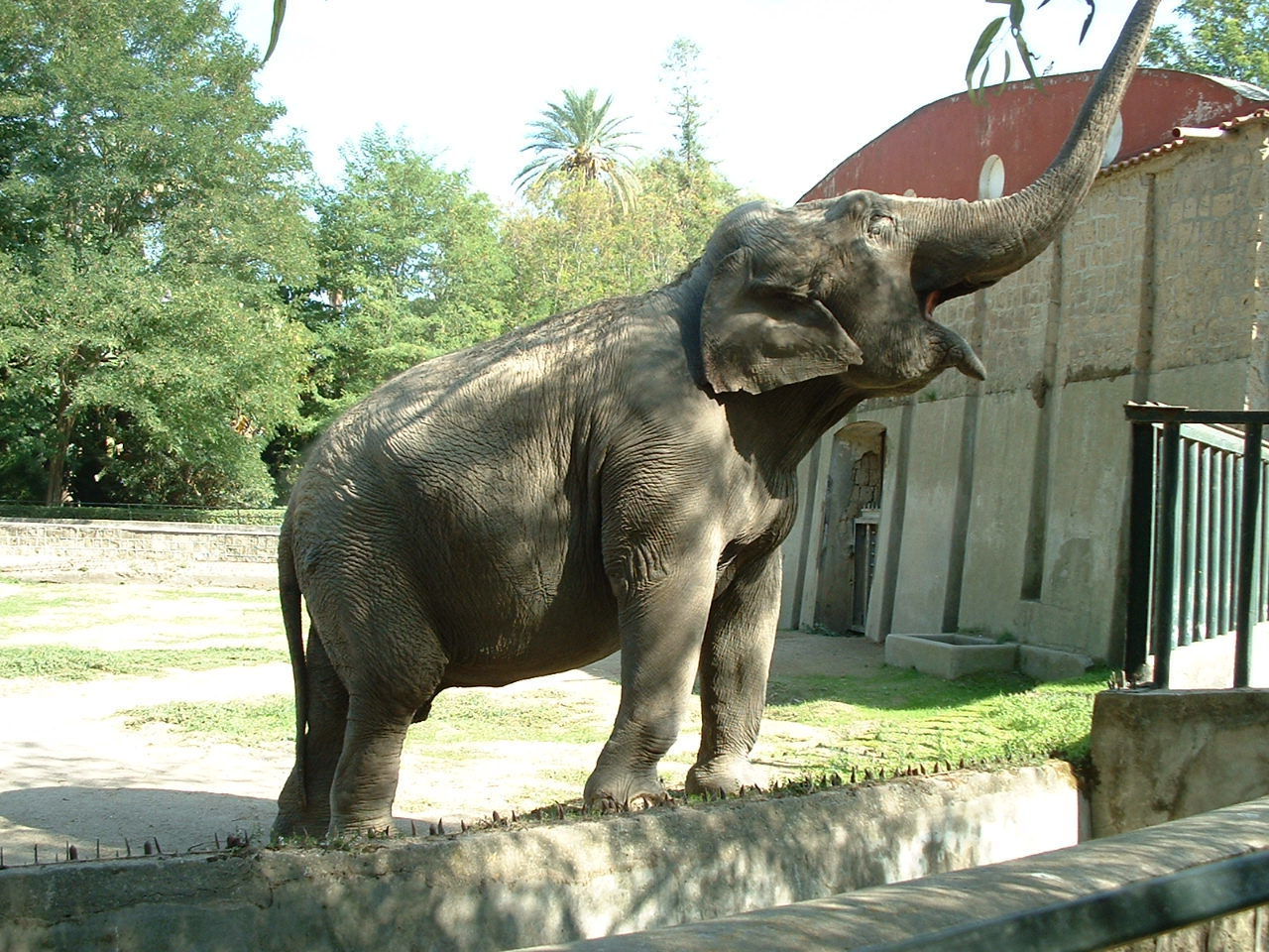 Napoli Zoo - Oct 2010