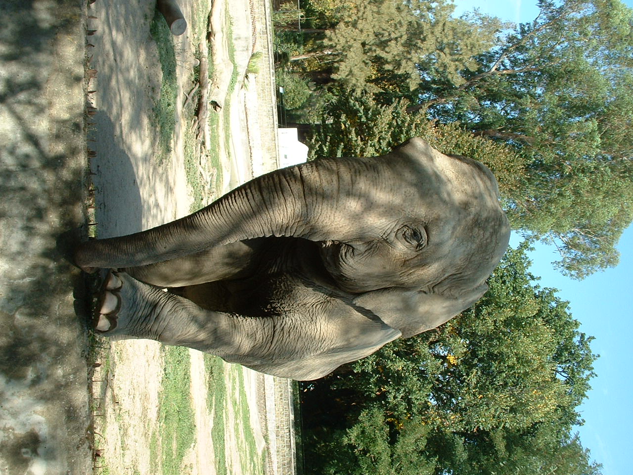 Napoli Zoo - Oct 2010