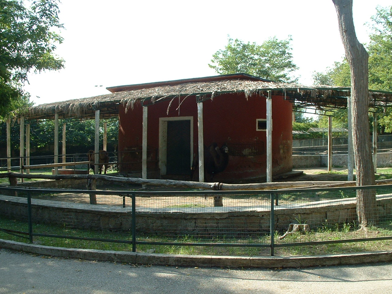 Napoli Zoo - Oct 2010
