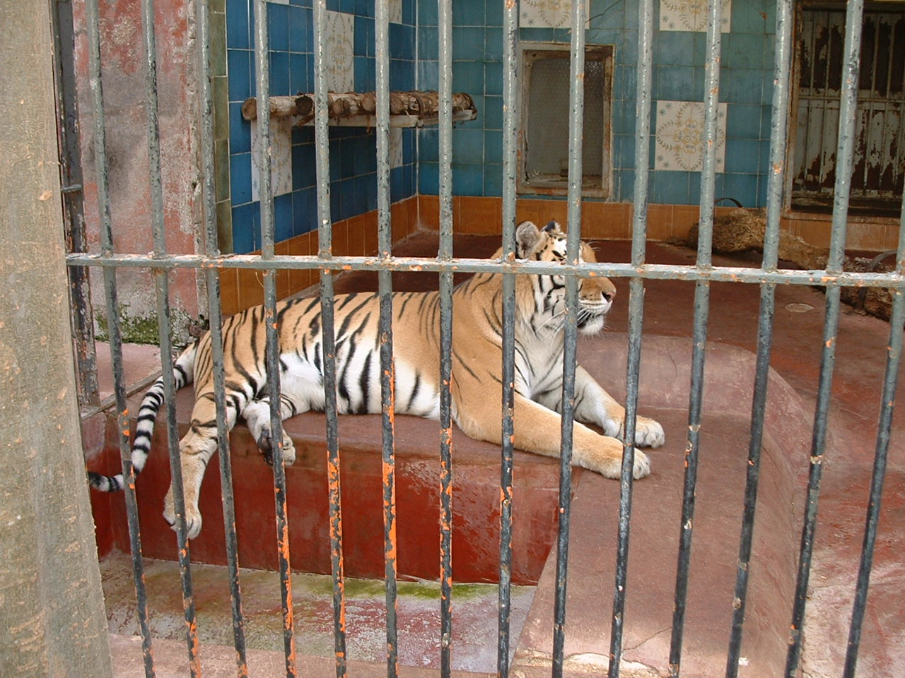 Napoli Zoo - Oct 2010