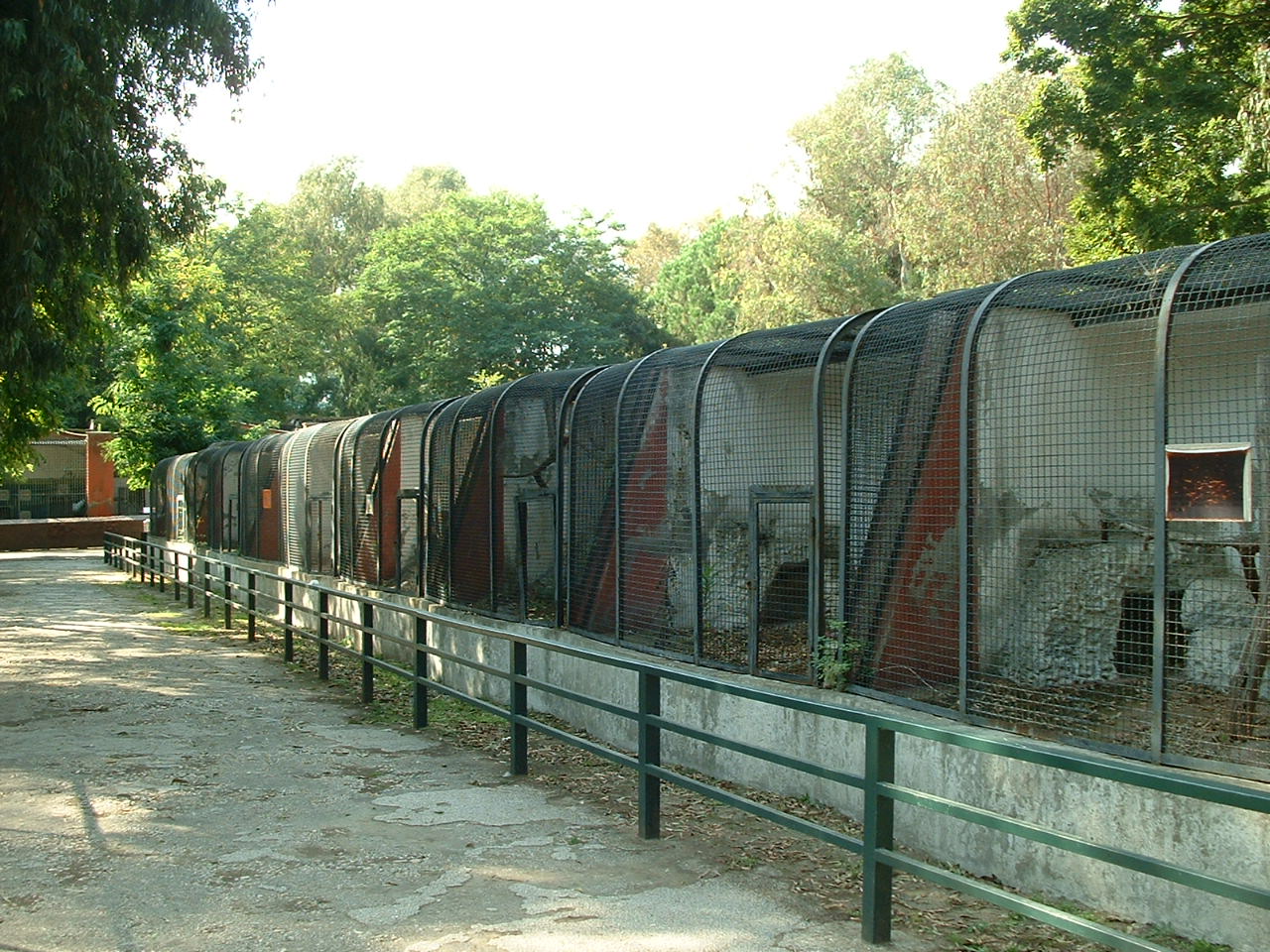 Napoli Zoo - Oct 2010