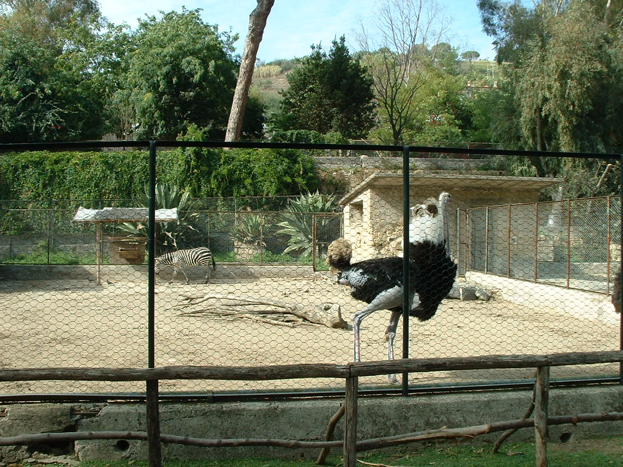 Napoli Zoo - Oct 2010