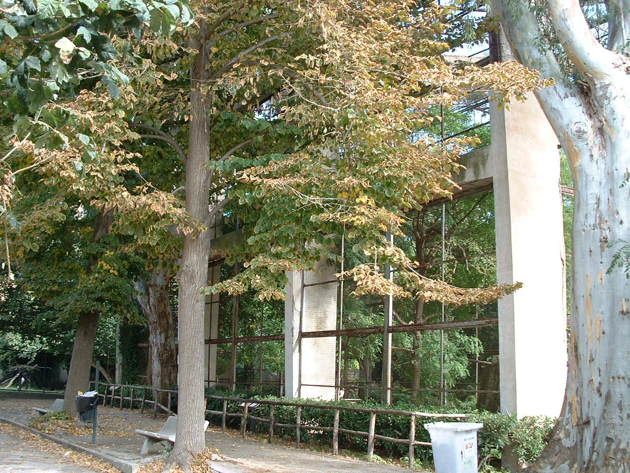 Napoli Zoo - Oct 2010