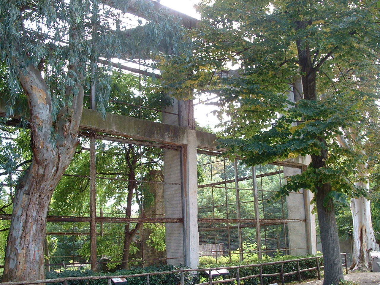 Napoli Zoo - Oct 2010