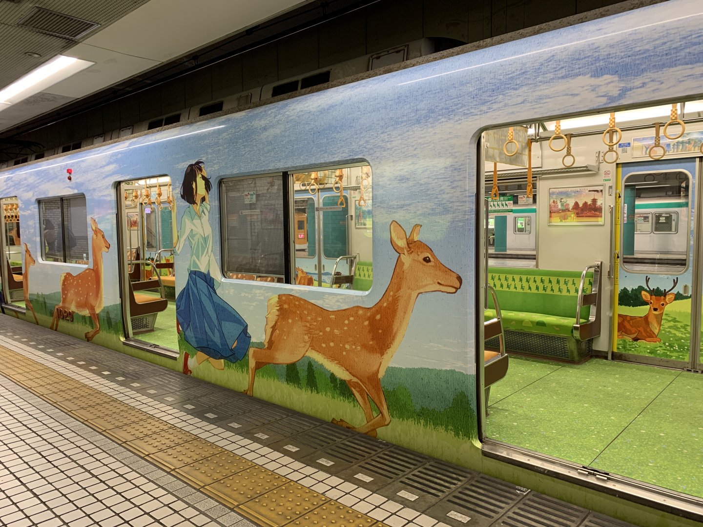 Nara Train