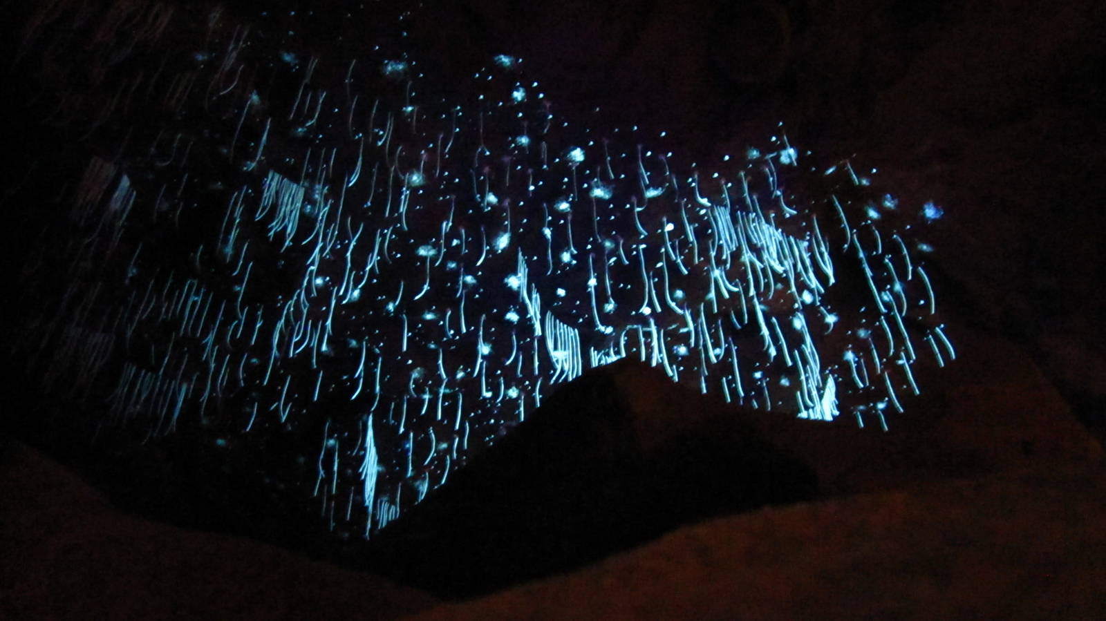 Naracoorte Cave - Glow-worms (artificial)
