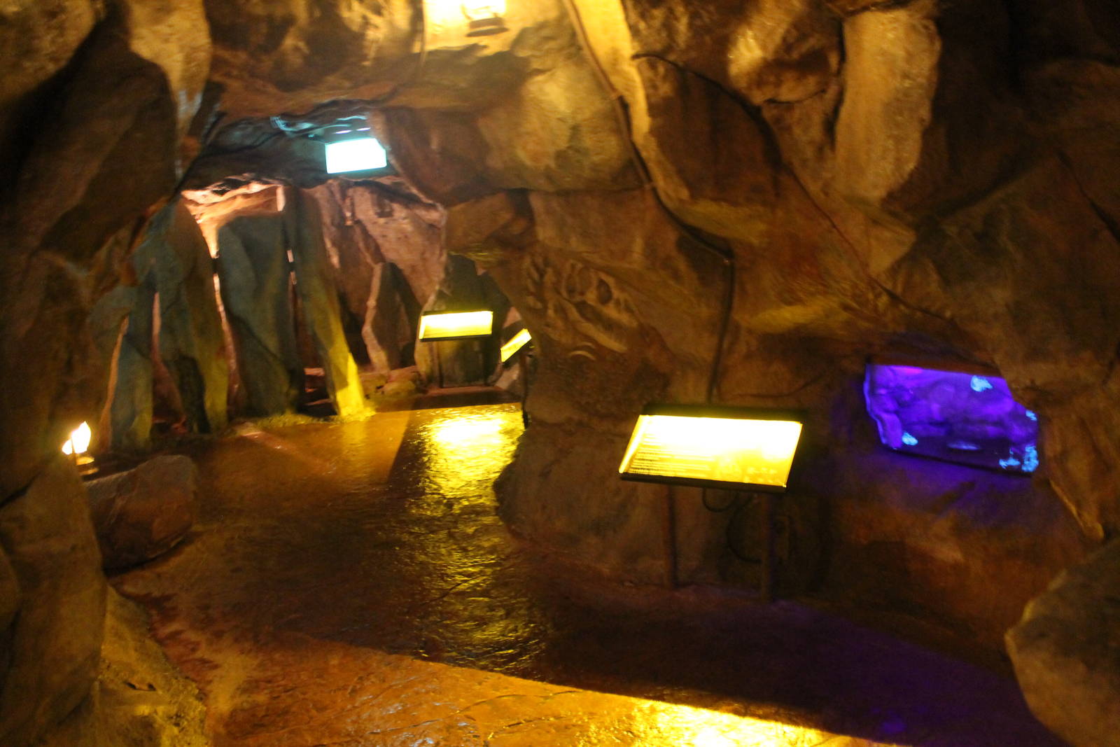 Naracoorte Cave - Interior