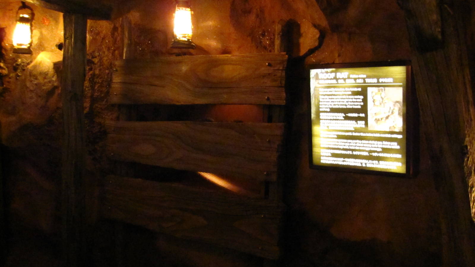 Naracoorte Cave - Roof Rat exhibit