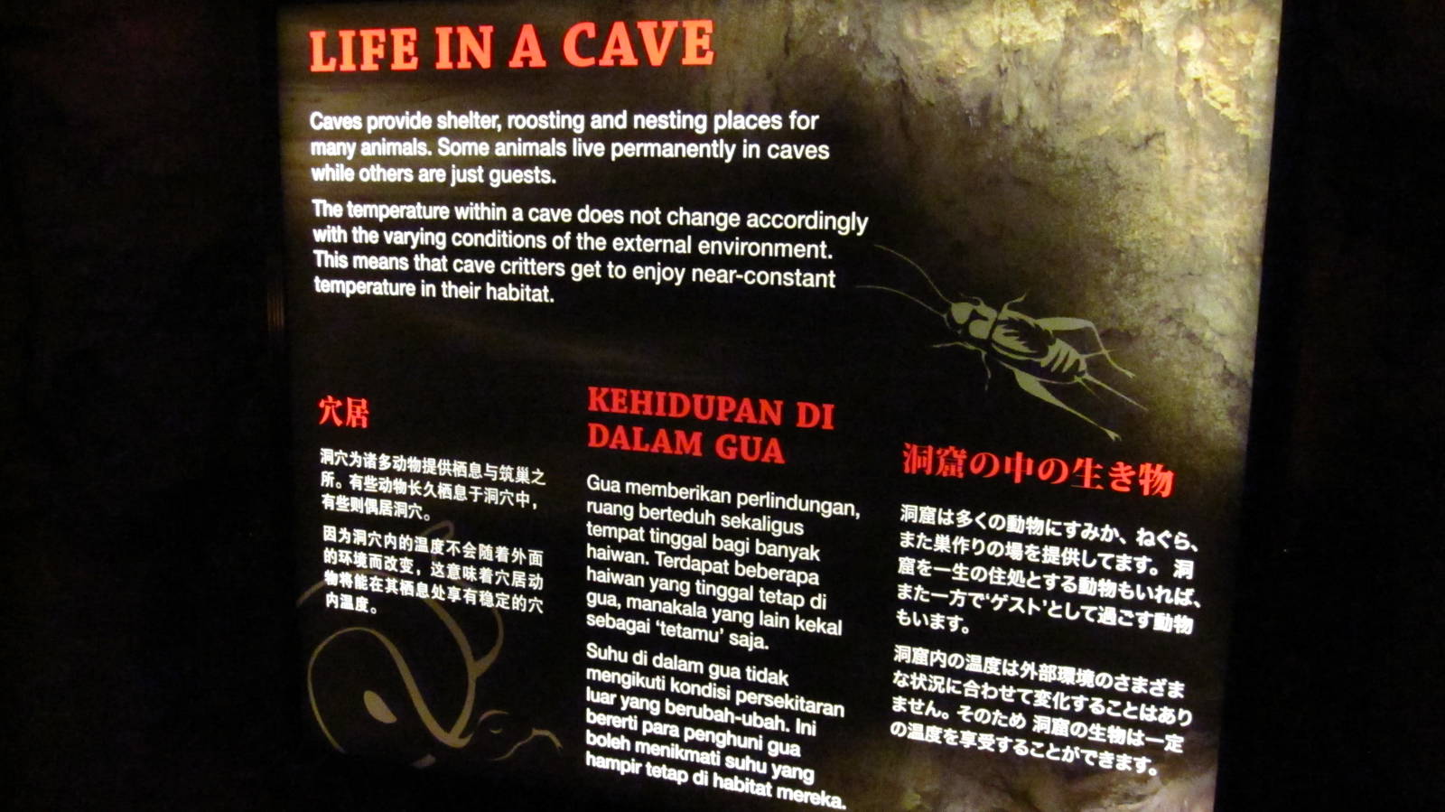 Naracoorte Cave - Signage