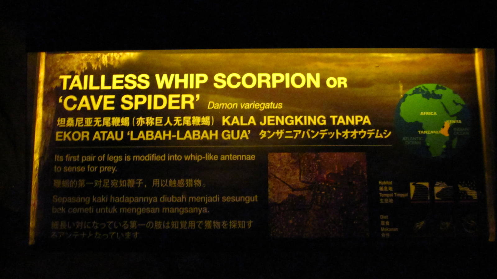 Naracoorte Cave - Signage