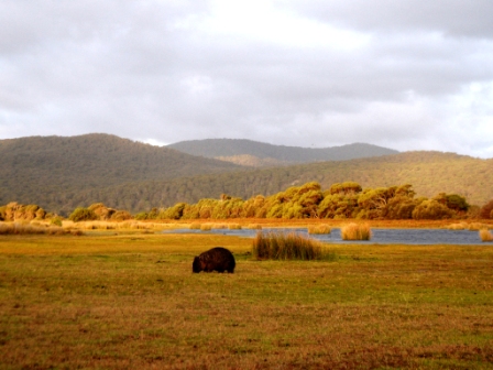 Narawntapu National Park, Tasmania