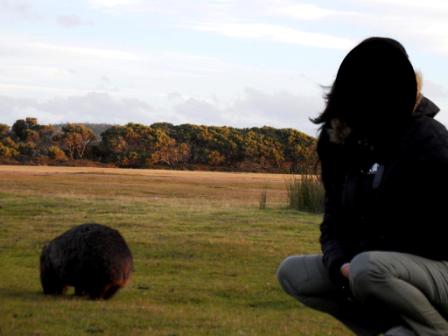 Narawntapu National Park, Tasmania