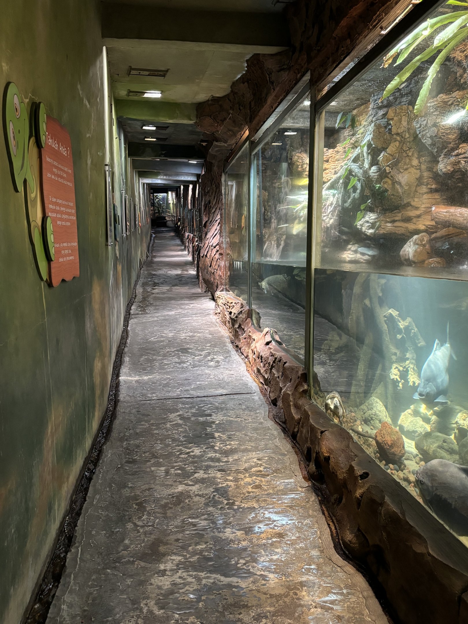 Narrow Aquarium Tunnel