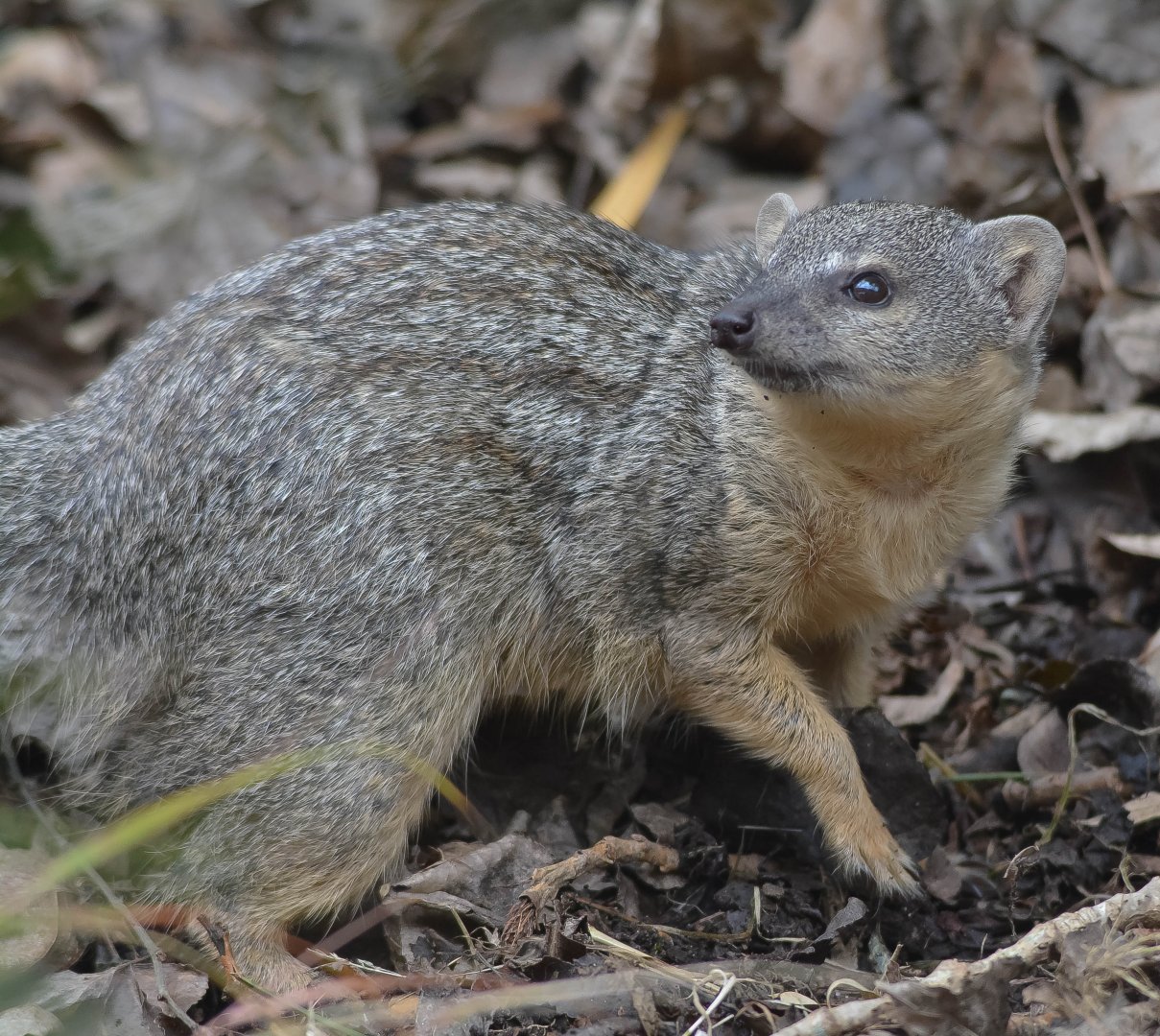 Narrow Stripe (1 Of 1)