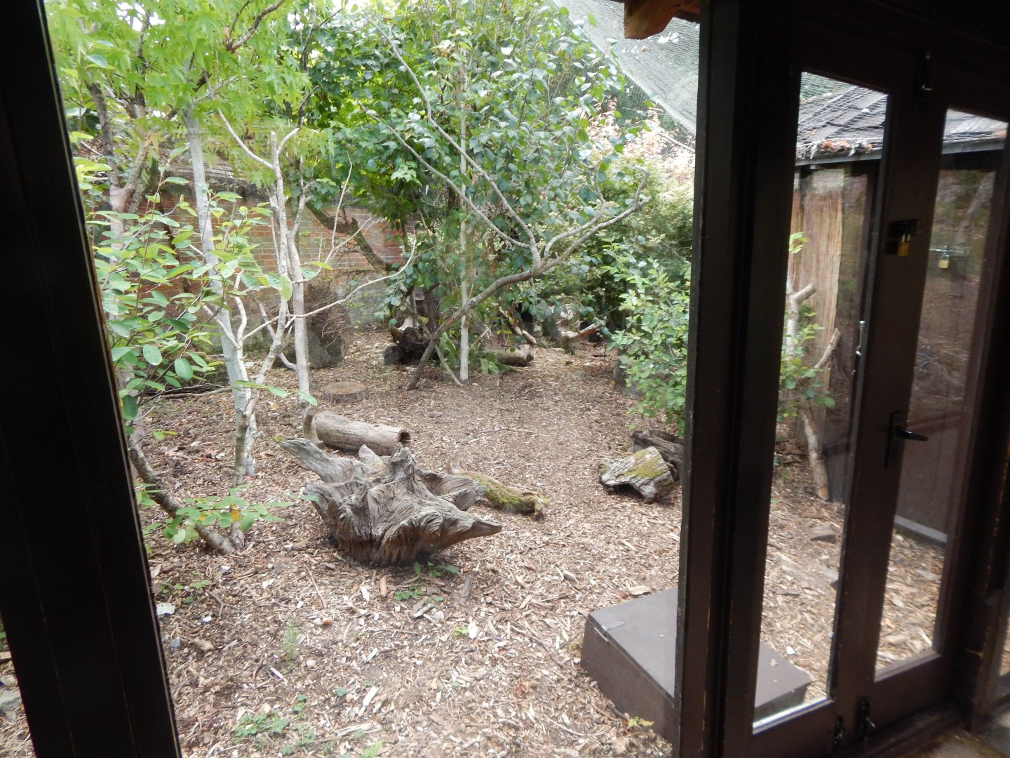 Narrow-striped boky exhibit 040822