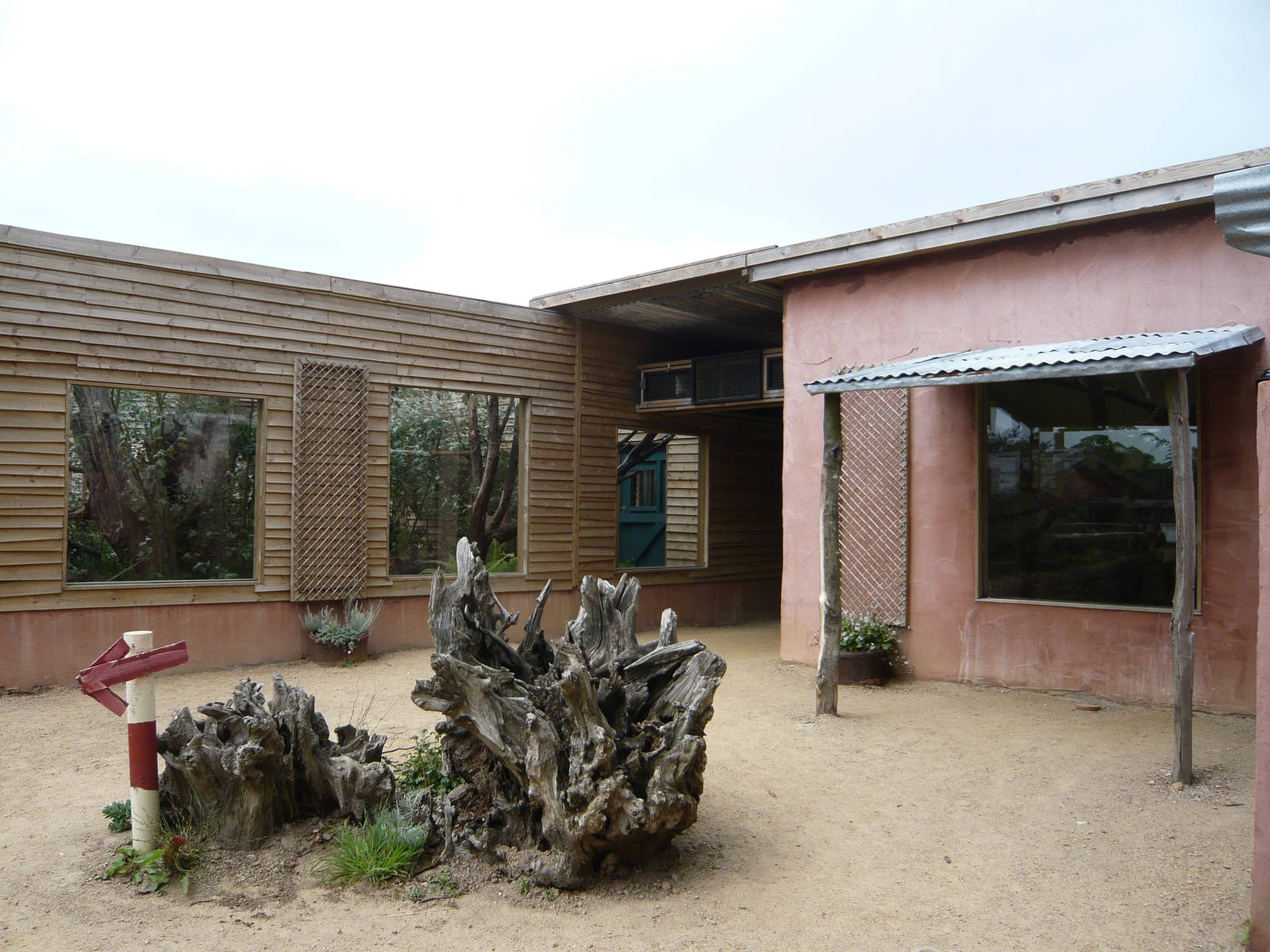 Narrow-Striped mongoose enclosure