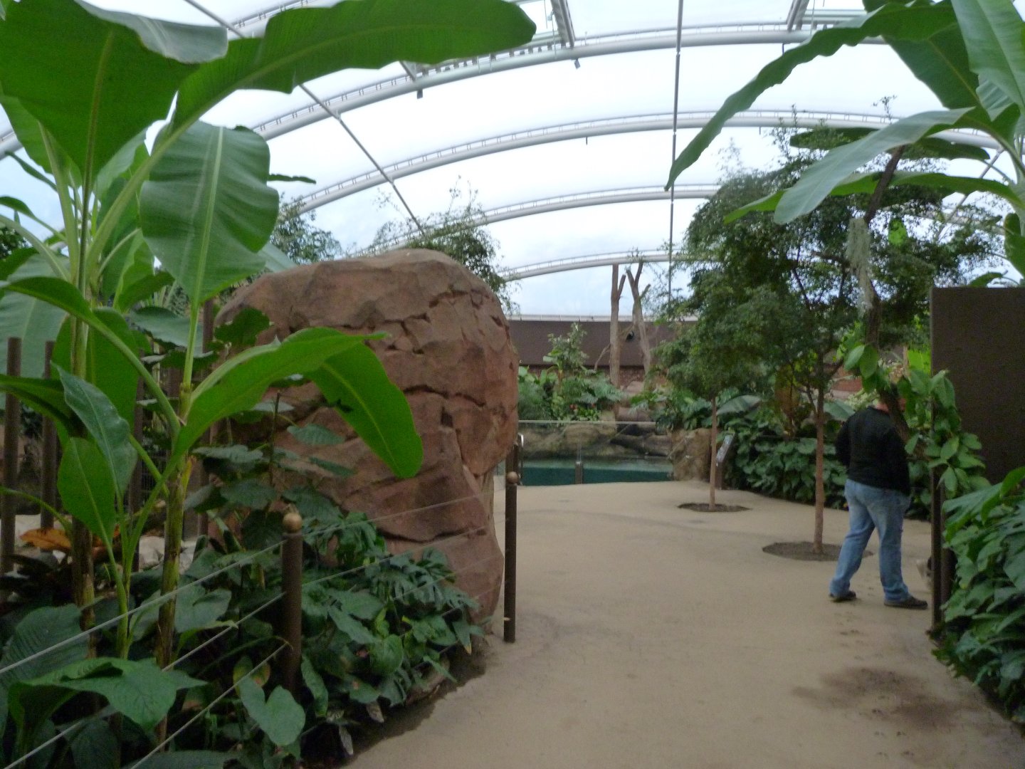 "Nashorn-Pagode" view -Zoologischer Garten Berlin (2024)