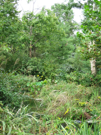 Nashville Sept 20-21, 2009