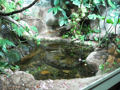 Nashville Sept 20-21, 2009