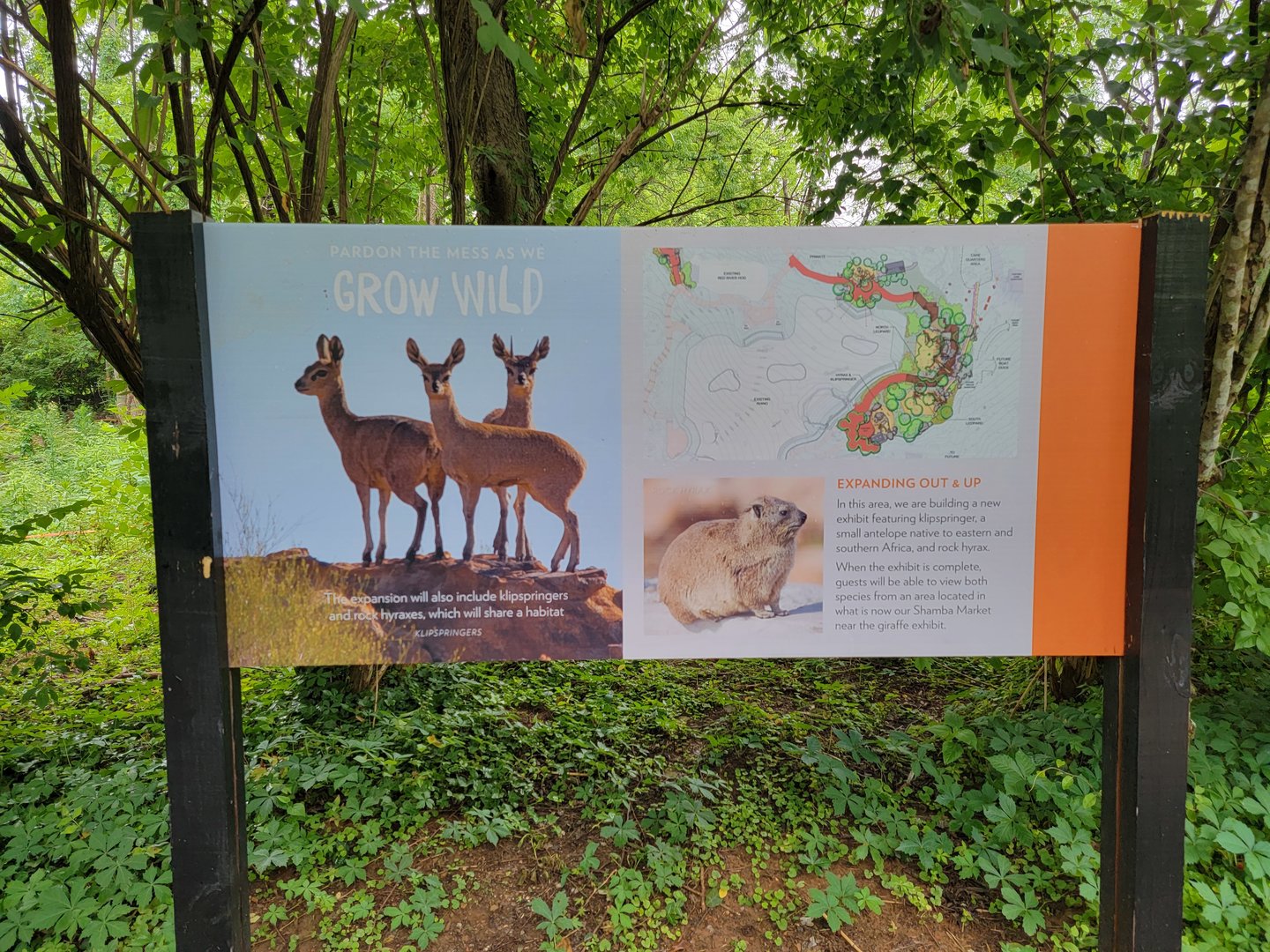 Nashville Zoo 5/22 - Africa expansion info