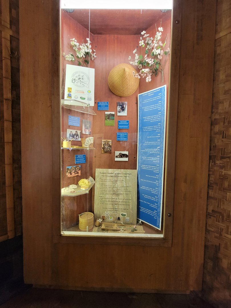 Nashville Zoo 5/22 - Clouded leopard history in zoos / Thailand Clouded Leopard Consortium