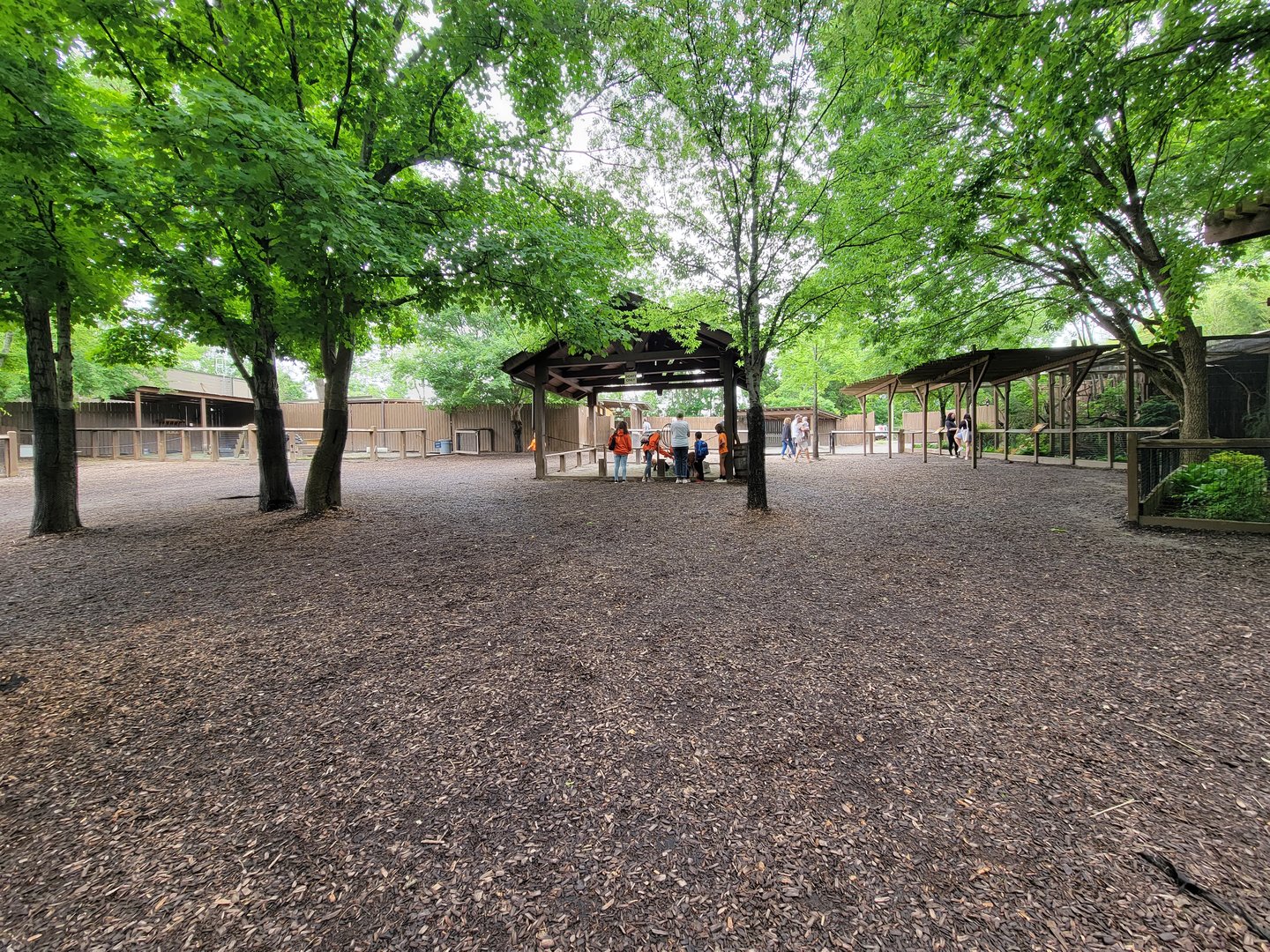 Nashville Zoo 5/22 - Critter Encounters area