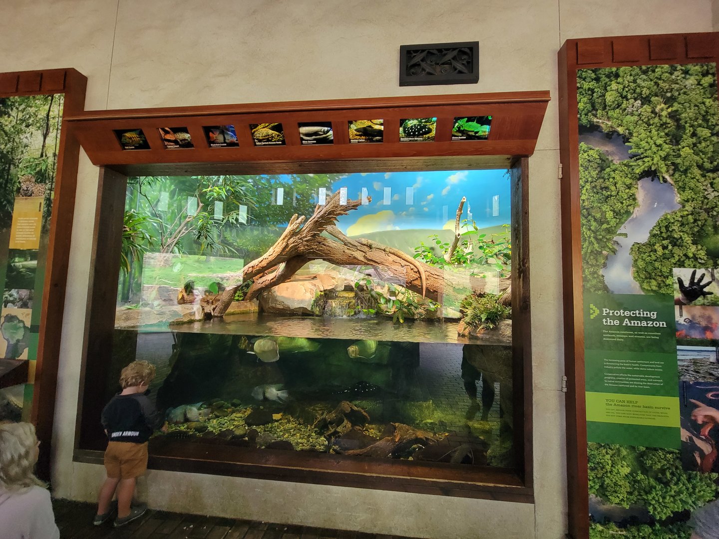 Nashville Zoo 5/22 - Expedition Peru, Andean bear viewing building, Amazon exhibit