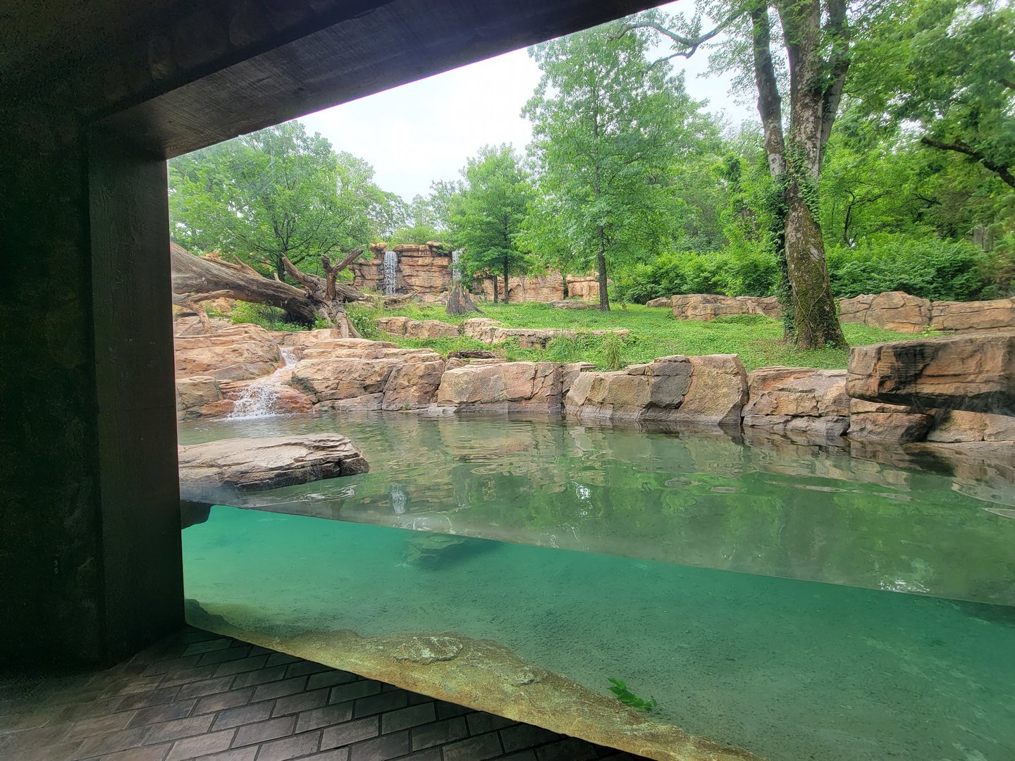 Nashville Zoo 5/22 - Expedition Peru, Andean bear viewing building