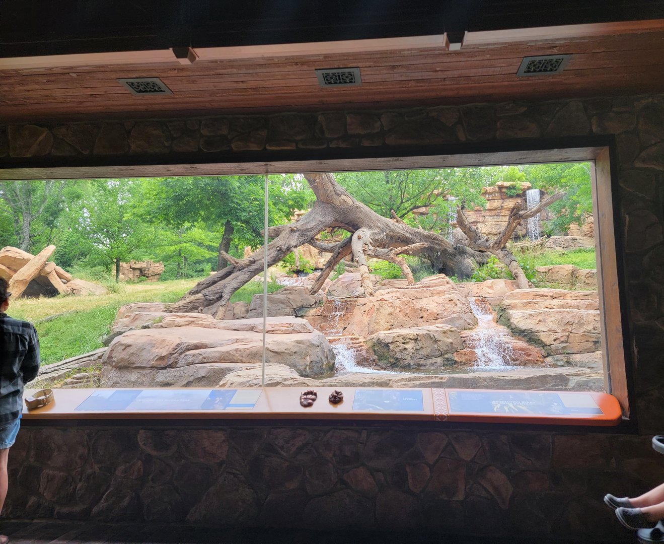 Nashville Zoo 5/22 - Expedition Peru, Andean bear viewing building