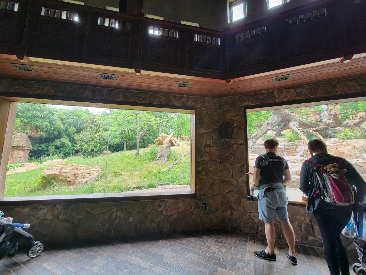 Nashville Zoo 5/22 - Expedition Peru, Andean bear viewing building