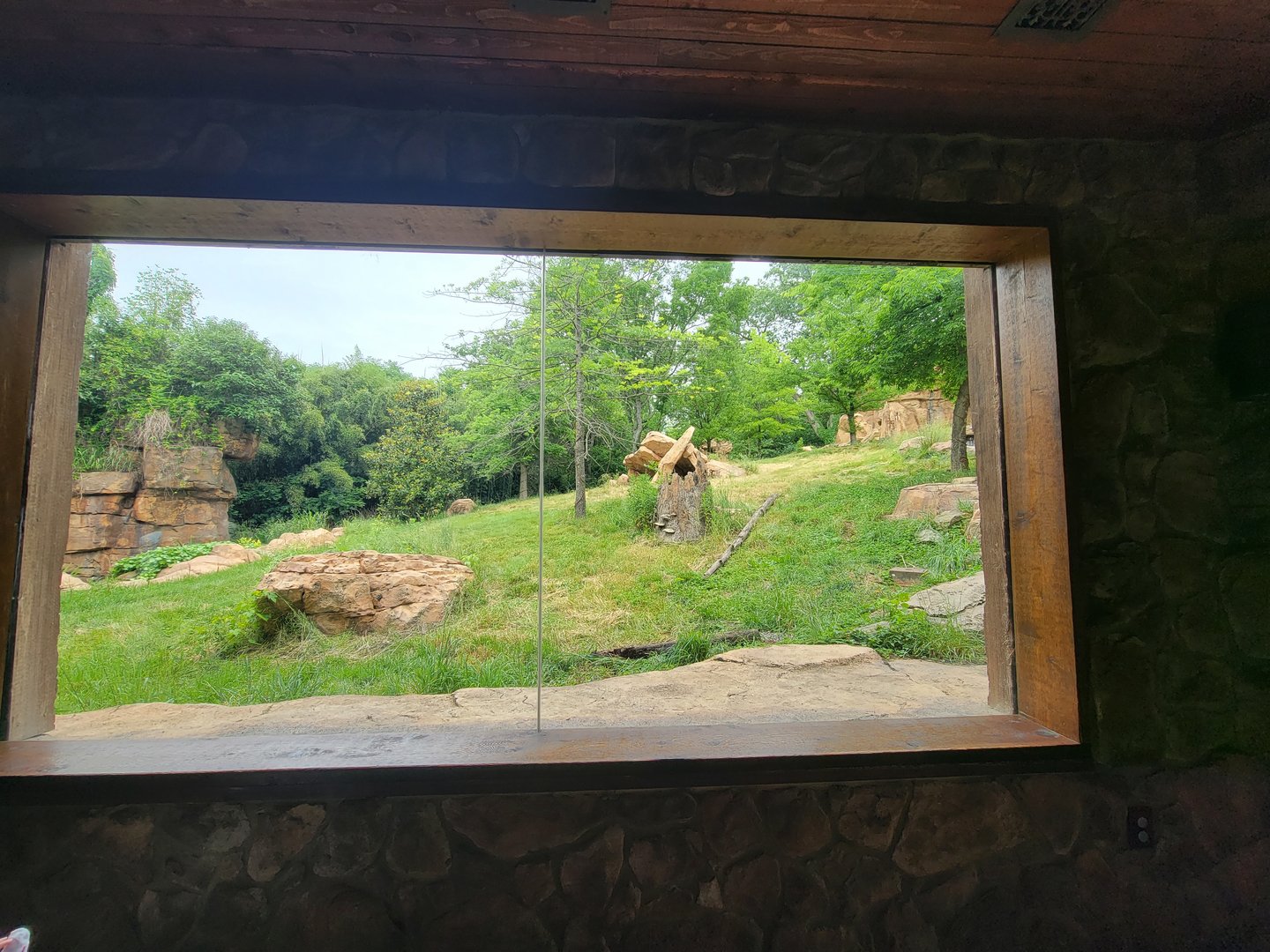 Nashville Zoo 5/22 - Expedition Peru, Andean bear viewing building