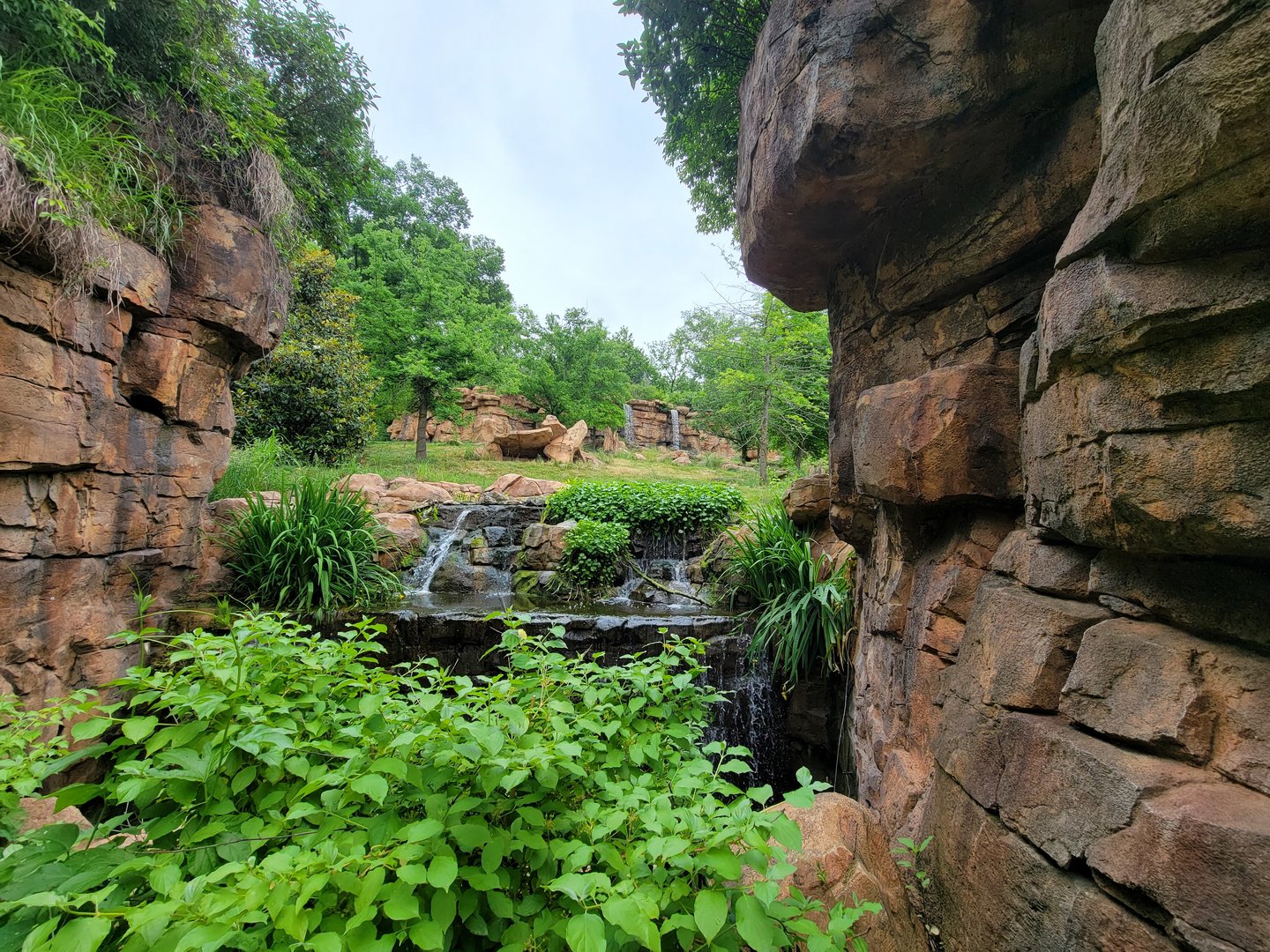 Nashville Zoo 5/22 - Expedition Peru, first view of Andean bear habitat