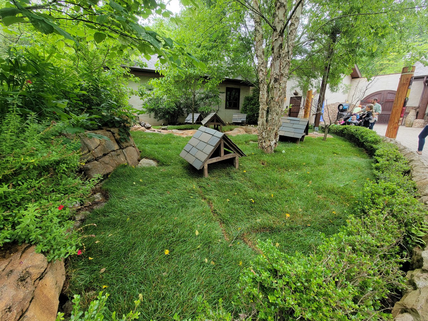 Nashville Zoo 5/22 - Expedition Peru, guinea pigs