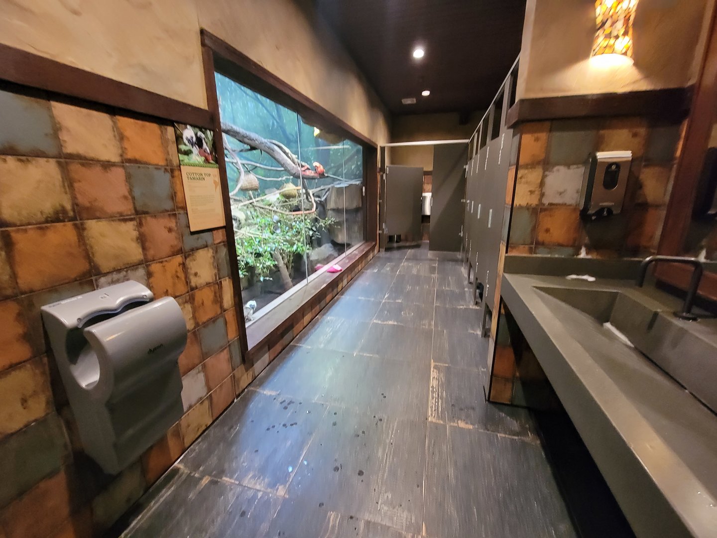 Nashville Zoo 5/22 - Expedition Peru, women's bathroom with cotton-top tamarins