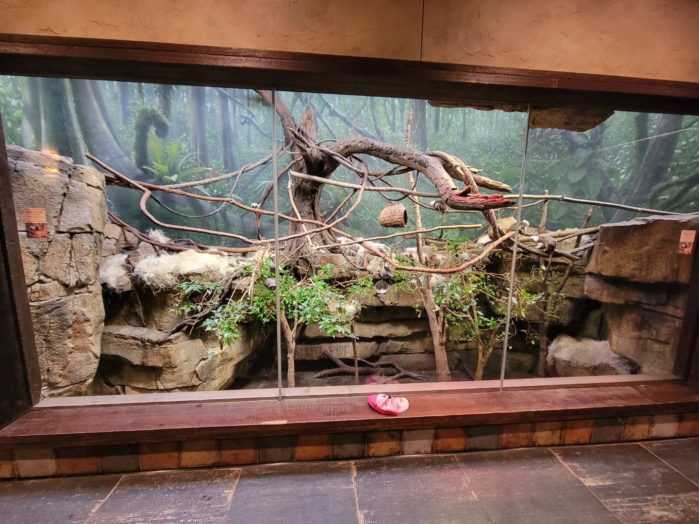 Nashville Zoo 5/22 - Expedition Peru, women's bathroom with cotton-top tamarins