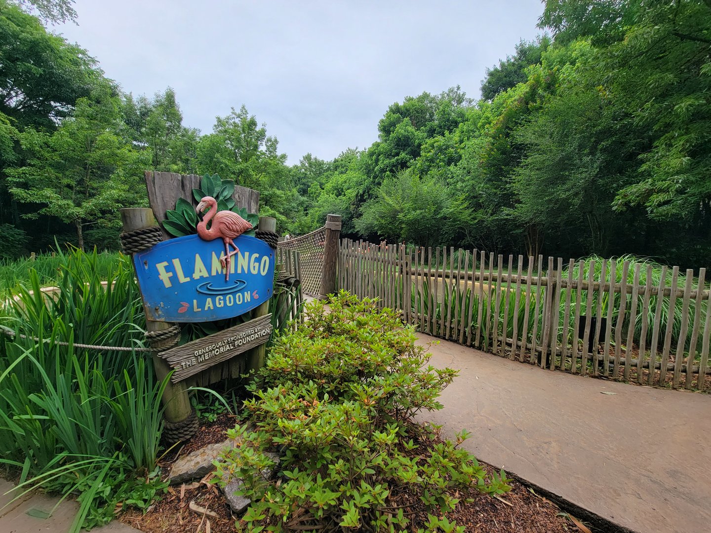 Nashville Zoo 5/22 - Flamingo Lagoon