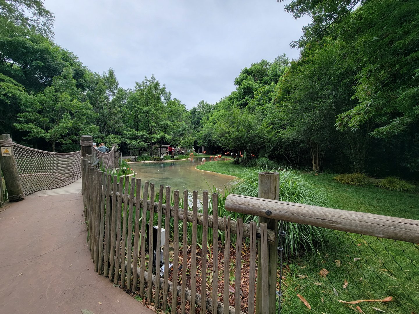 Nashville Zoo 5/22 - Flamingo Lagoon