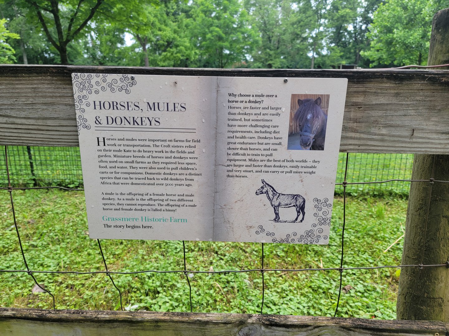Nashville Zoo 5/22 - Grassmere Plantation farm, signage example